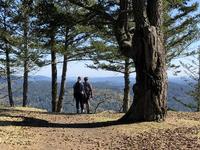 Turtleback Mountain South Trailhead