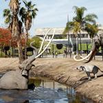 The La Brea Tar Pits and Museum