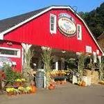 Soergel Orchards