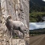 Waterton Canyon