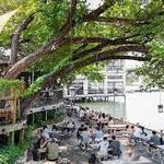 Mozart's Coffee Roasters