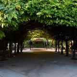 ABQ BioPark - Botanic Garden
