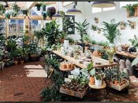 Pistils Nursery
