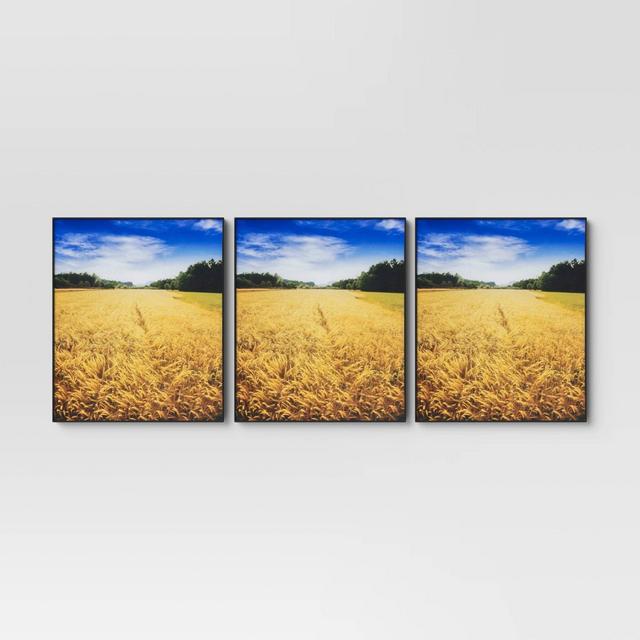 8" x 10" Set of 3 Format Frames Black - Room Essentials™