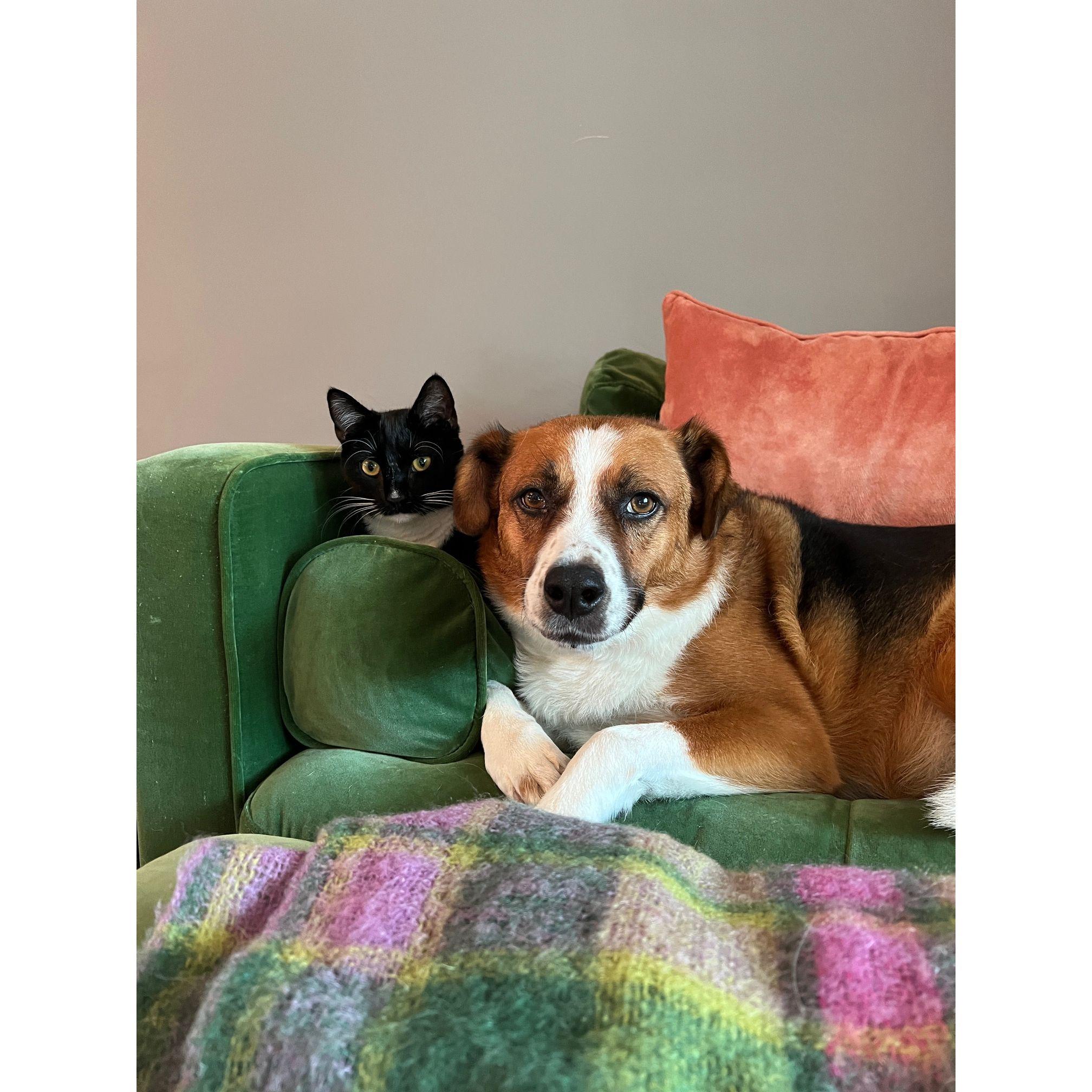 Lula and Benny