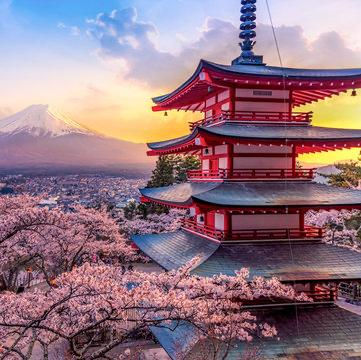 Honeymoon to Japan ⛩️ (non venmo option)