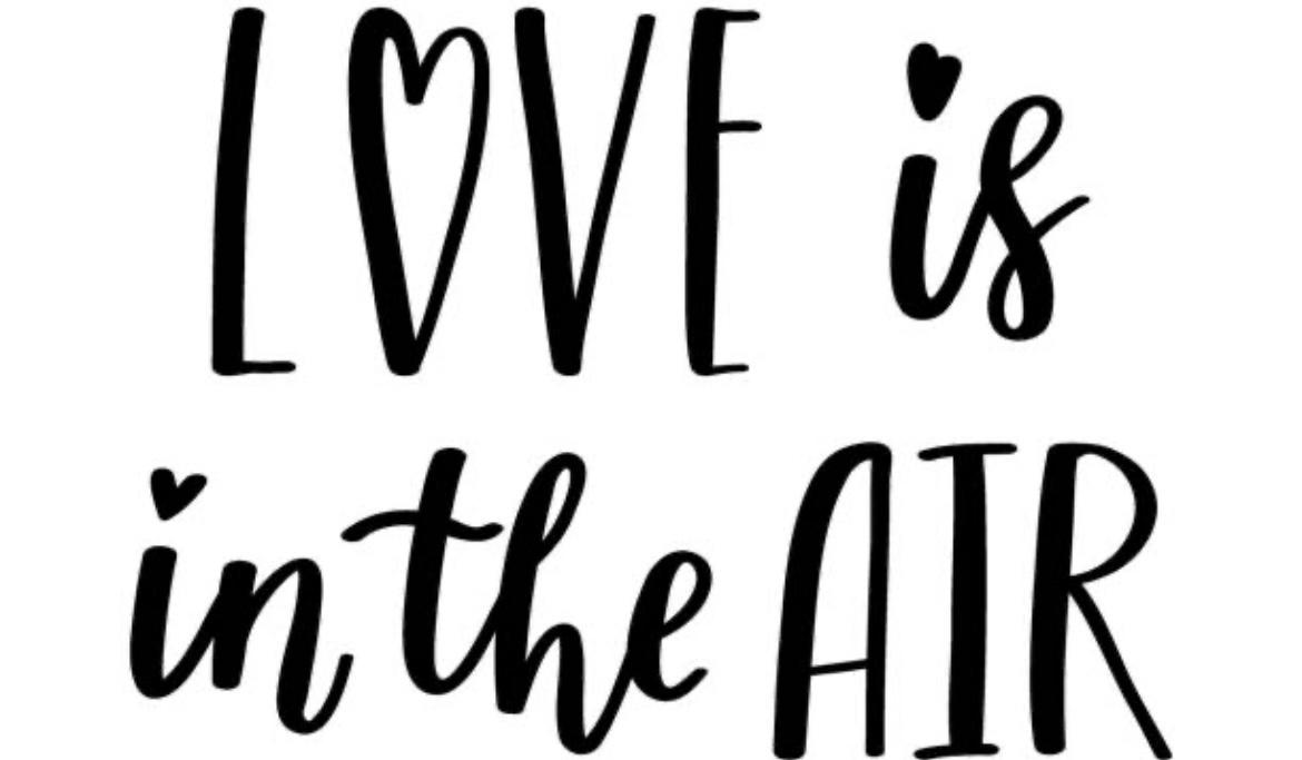 The Wedding Website of Lexi Tarailo and Logan Green