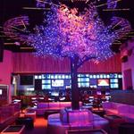 201 SEAFOOD RESTAURANT AND TAPAS LOUNGE