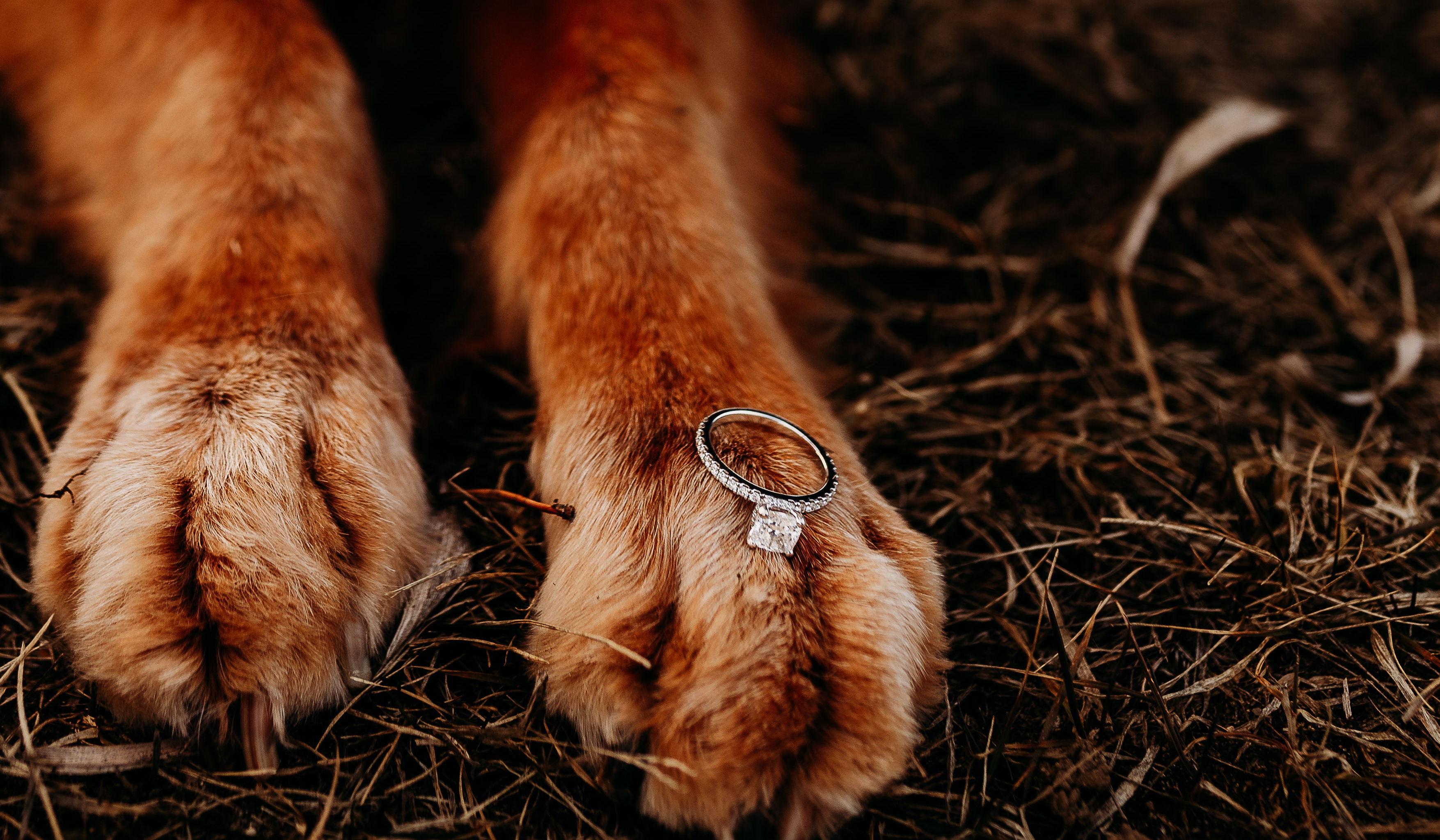 Hero Slideshow Image 4