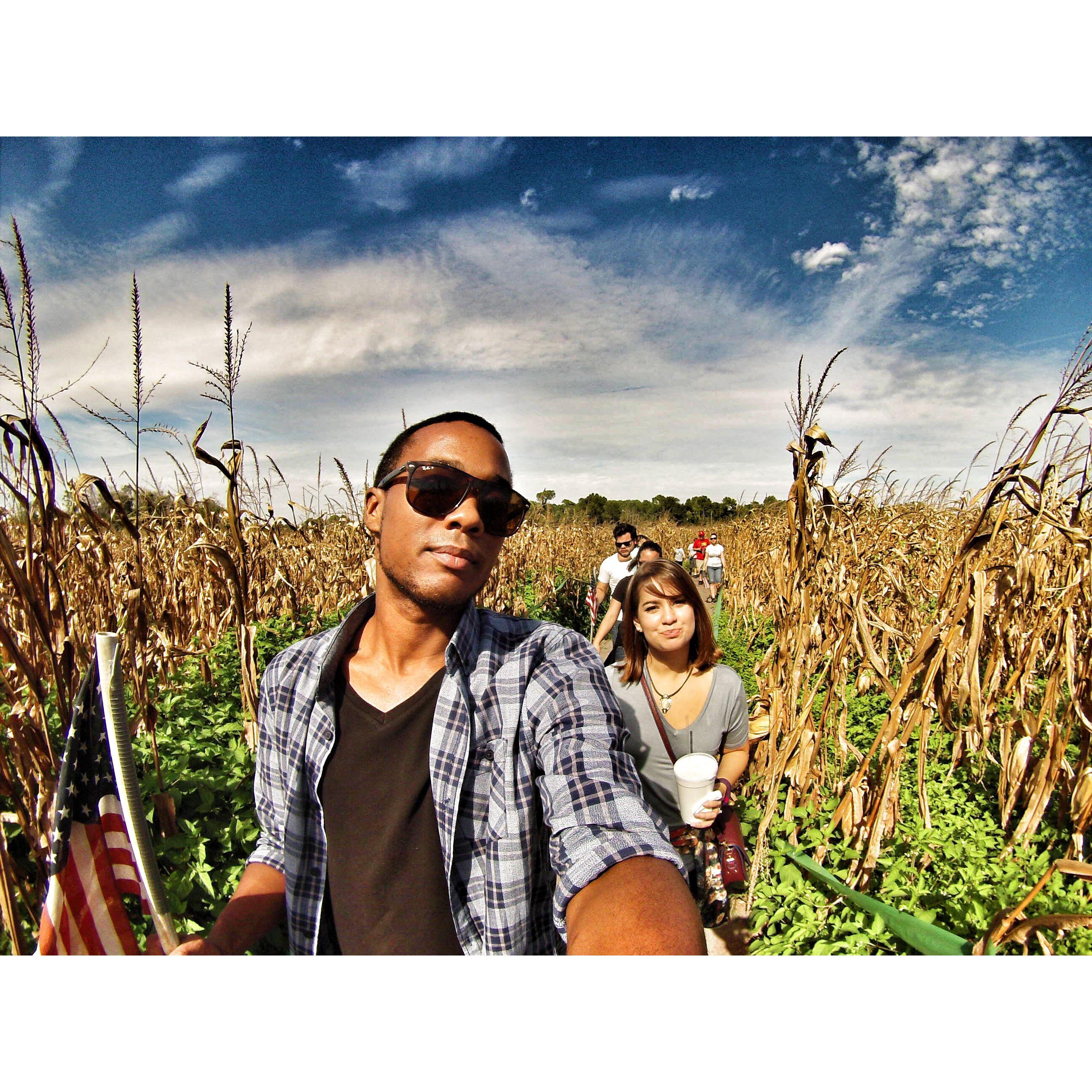 Corn Maze outside of Orlando in 2017.