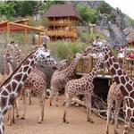 Cheyenne Mountain Zoo