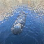 Monterey Bay Aquarium