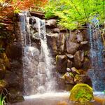 Anderson Japanese Gardens