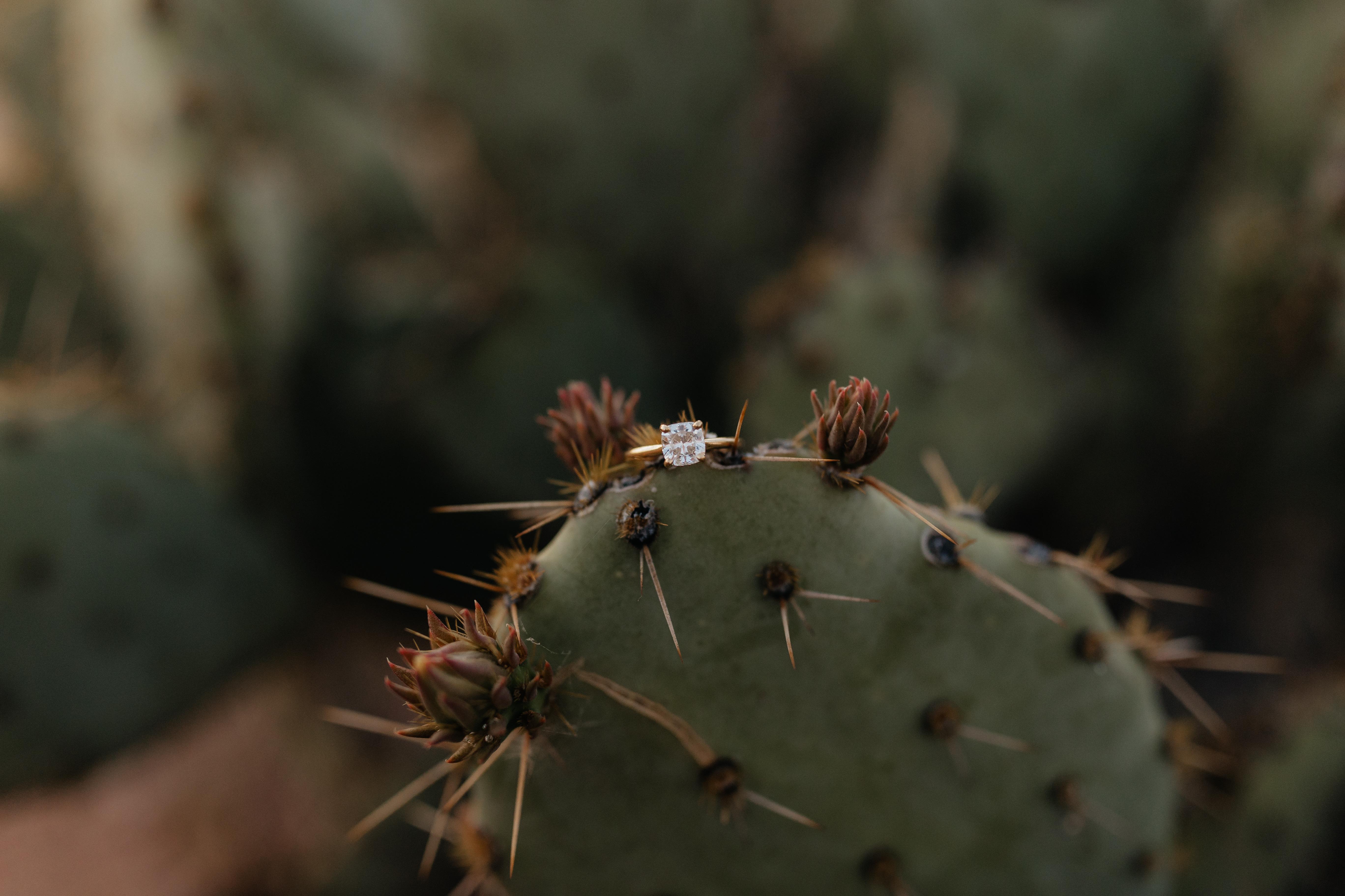 The Wedding Website of Lindsay Swick and Hunter Callender