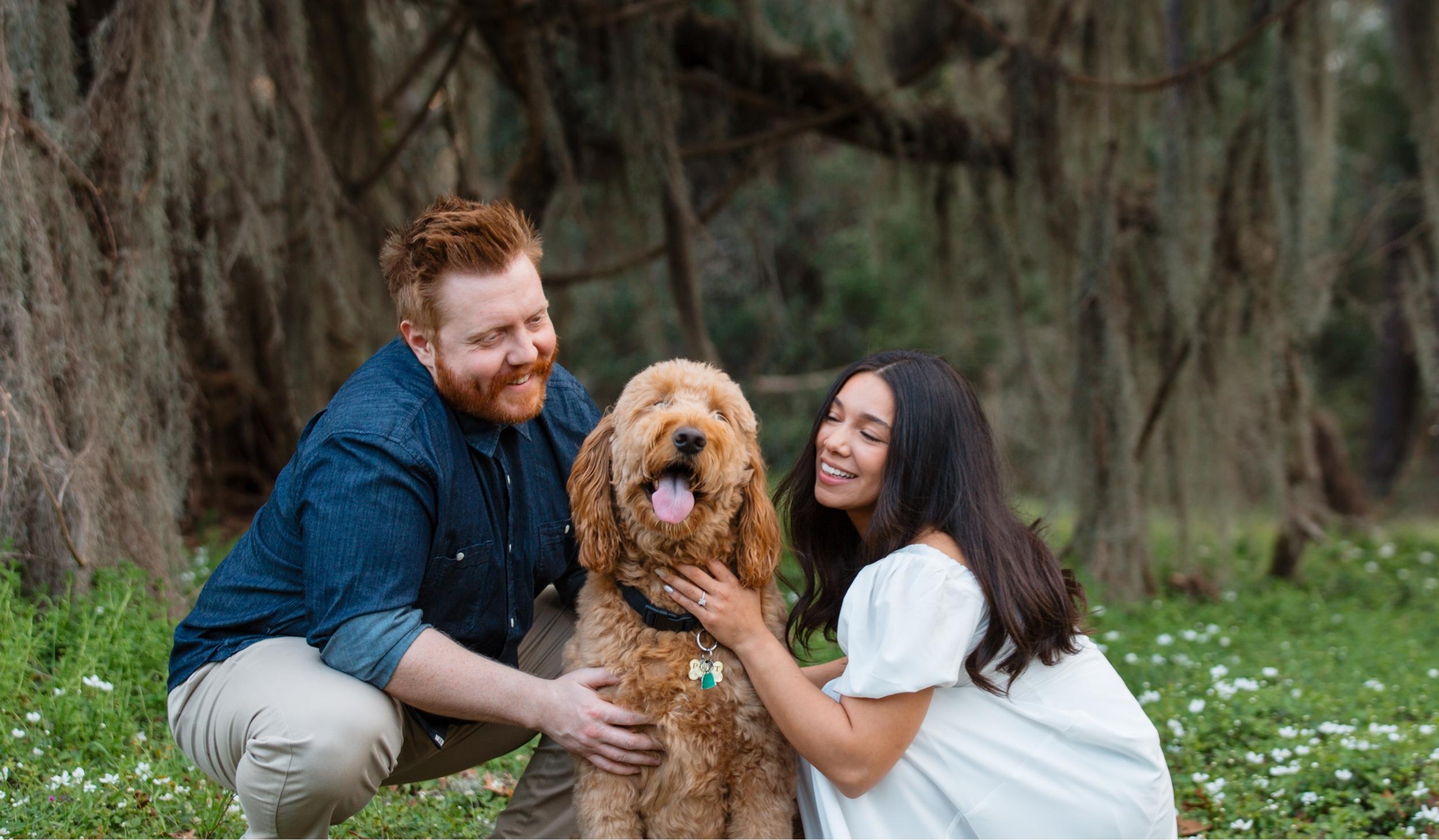 e12e72fd-5906-4ef3-b628-482fc84f2da5