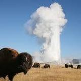 Old Faithful