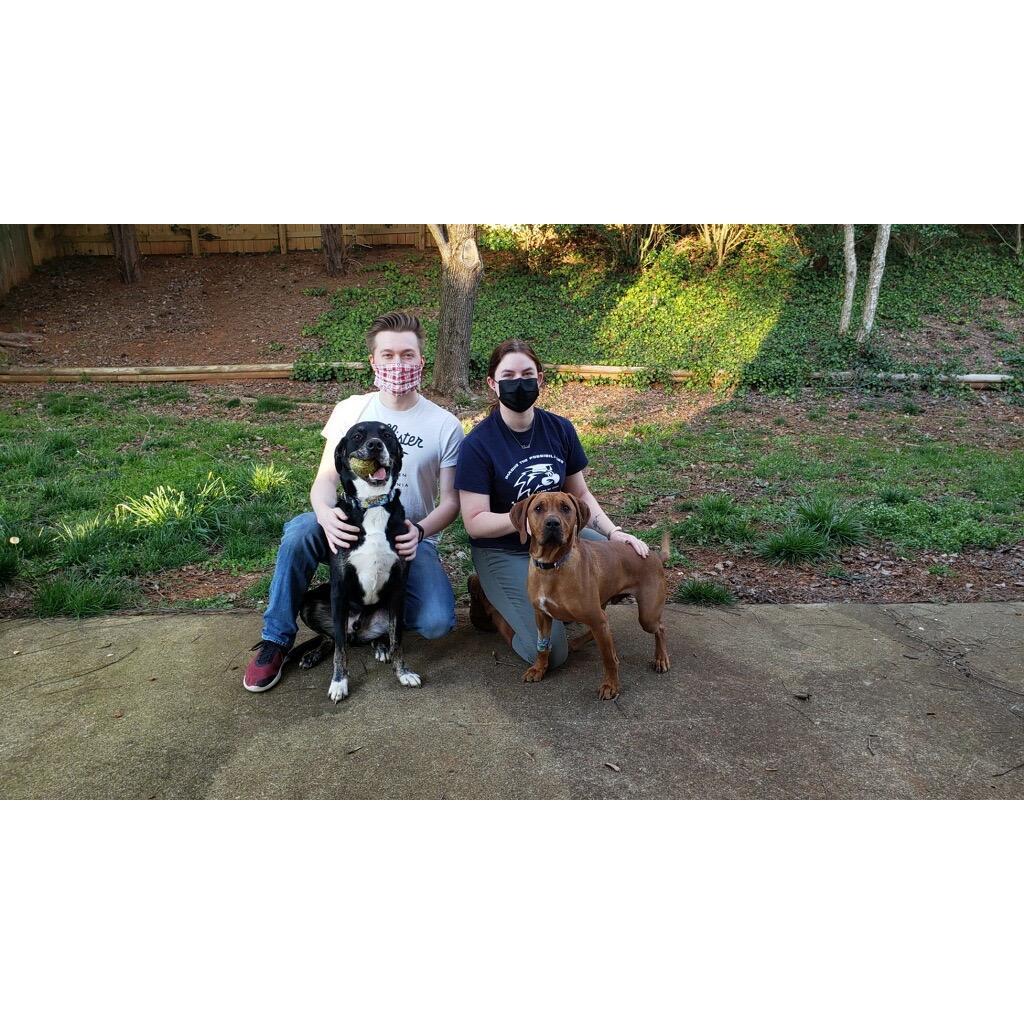 Adding Beau to our family