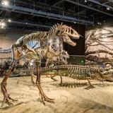 Natural History Museum of Utah