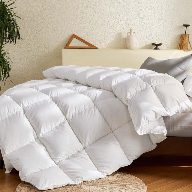 Inhand Goose Feather Down Fiber Comforter Queen Size - 100% White Cotton Duvet Insert - Hotel Luxury Hypoallergenic Bedding Comforter All Season