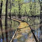 Congaree National Park