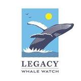 Legacy Whale Watch