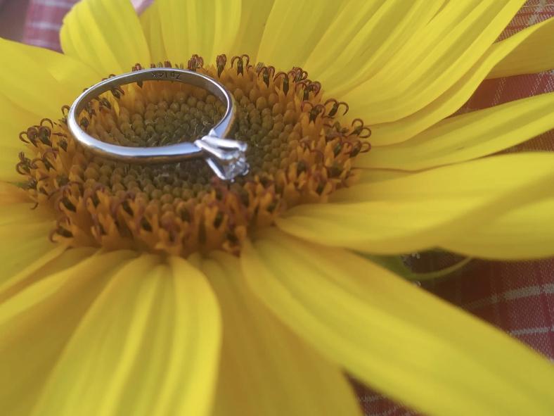 The Wedding Website of Ashley Belk and Nathaniel Walters