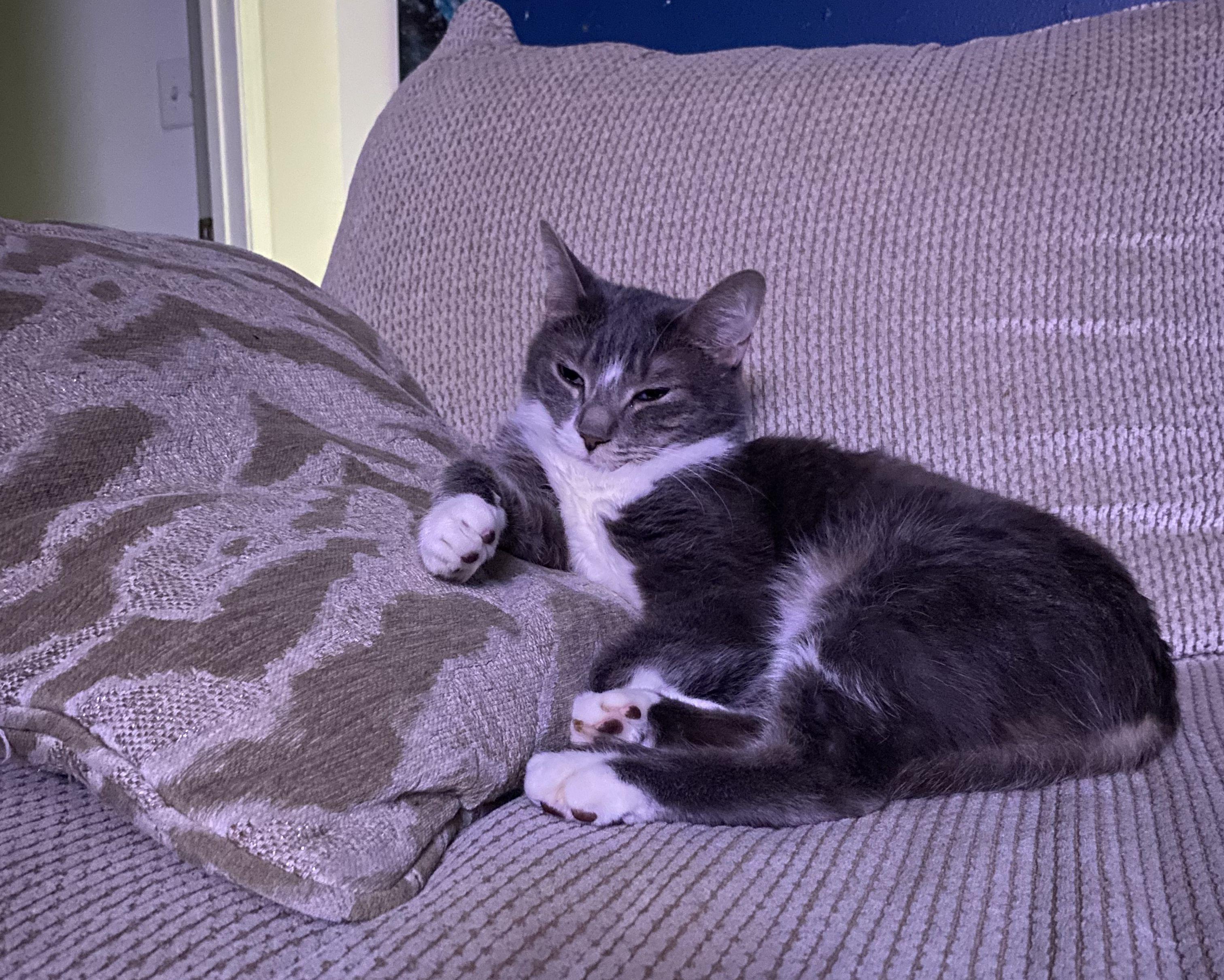 The Wedding Website of Jaclynn Avner and Andrew Albrecht