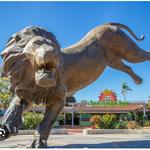 San Diego Zoo