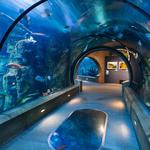Oregon Coast Aquarium
