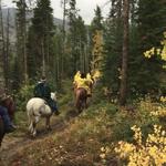 Keystone Stables