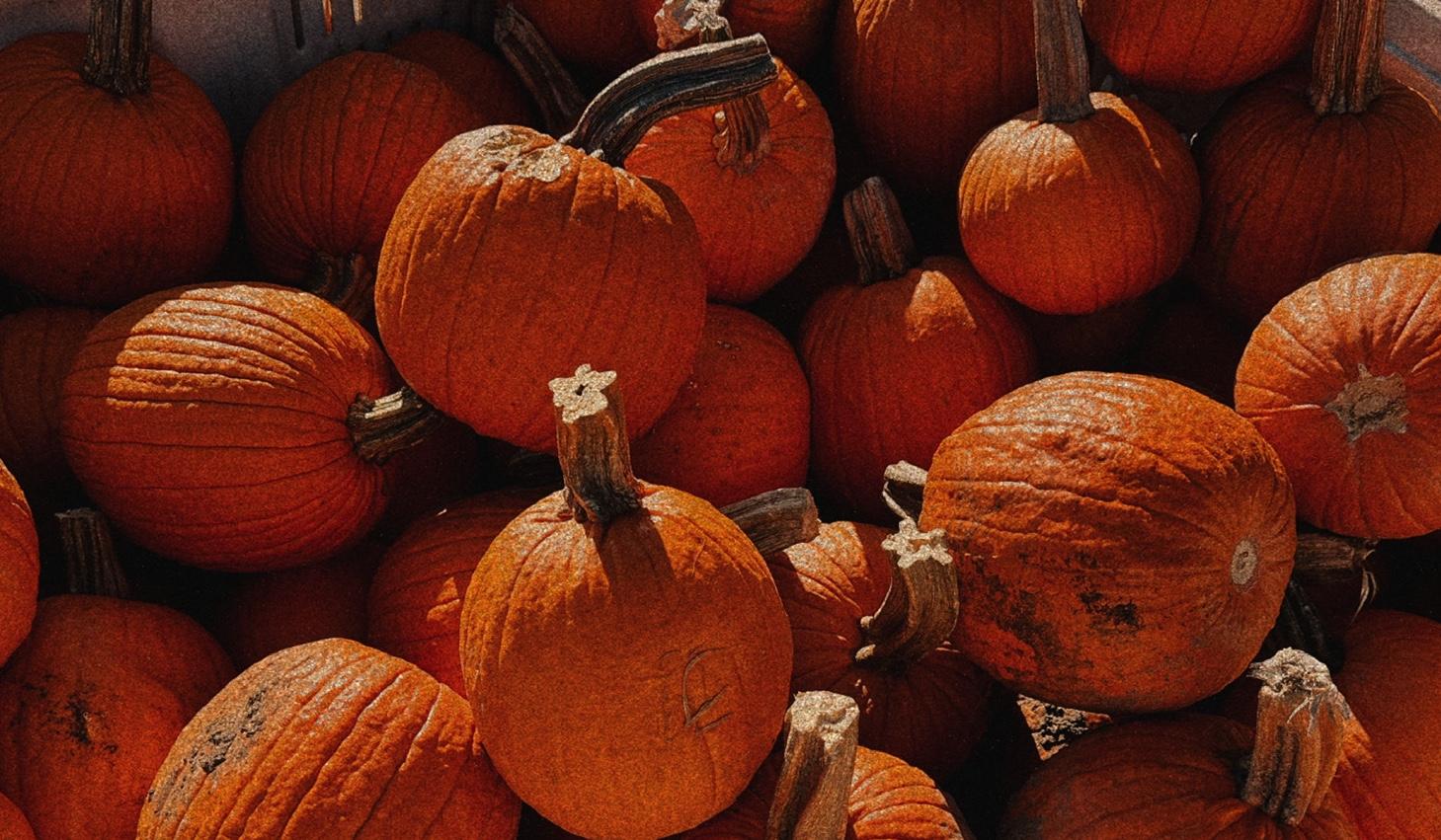 The Wedding Website of Allyson Whittaker and Carson Jones