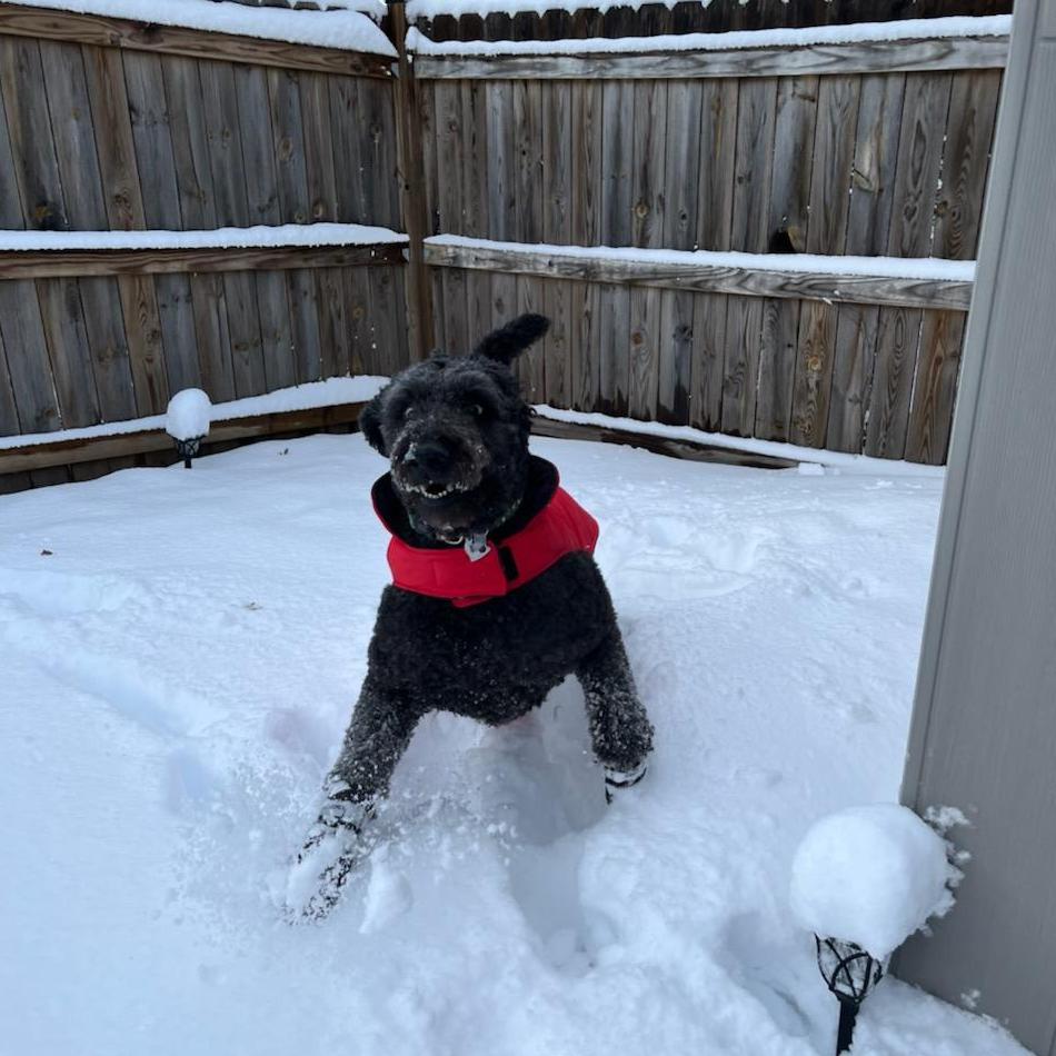 Boomer's Excited as Well!