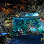 Shedd Aquarium