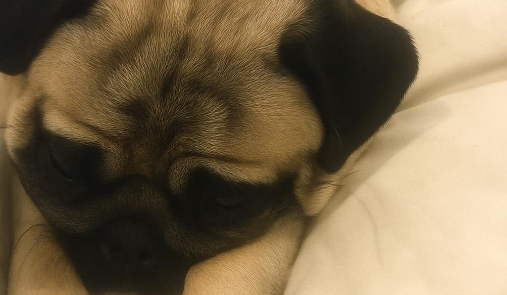 The Wedding Website of Tanya Kowalczyk and Matthew Whitlow