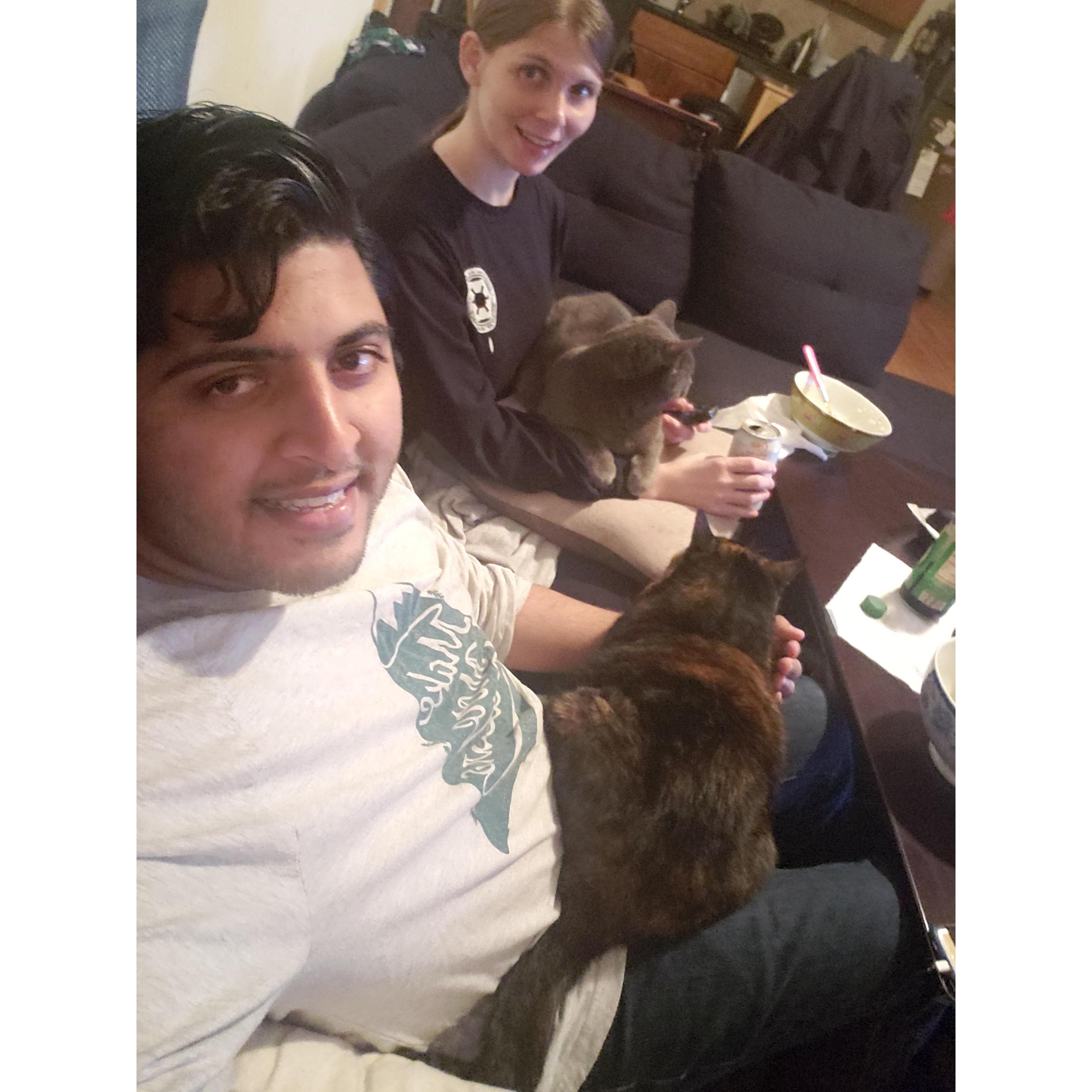 Typical dinner with two cats