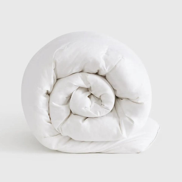 Luxe Goose Down Comforter in White - Queen