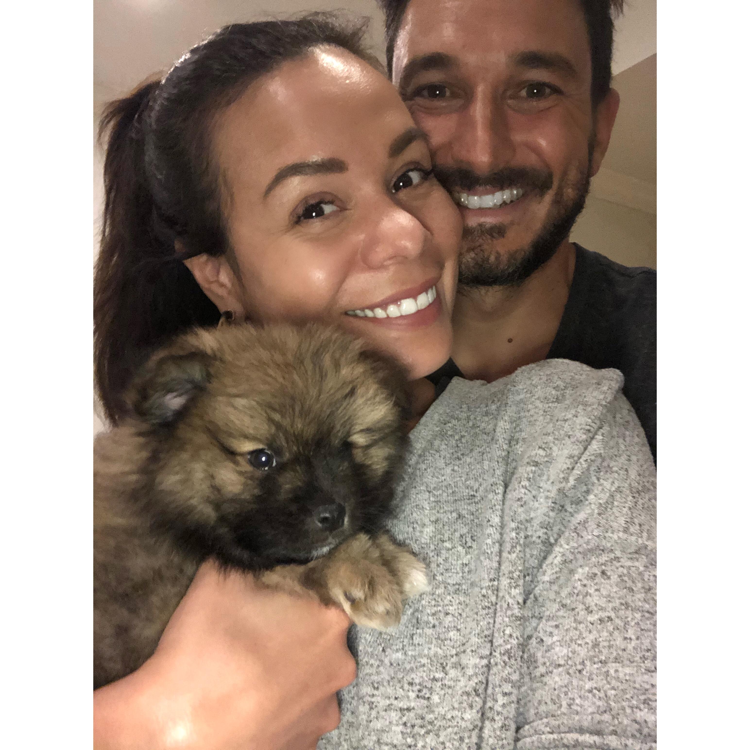 LeoBear becomes a kitty. 12.17.20