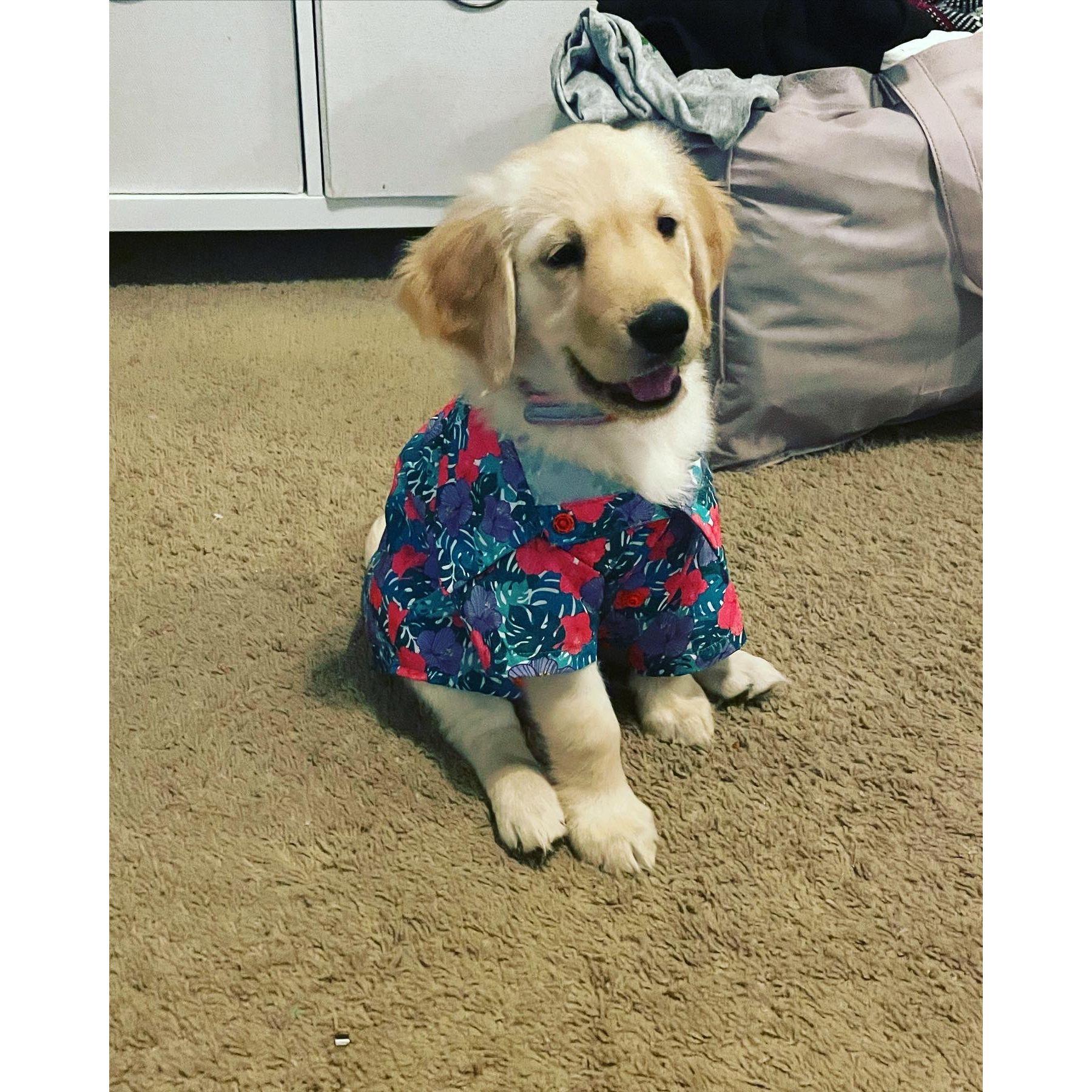 May 2022: Amanda adopted Winnie - aka the cutest and most loving dog ever