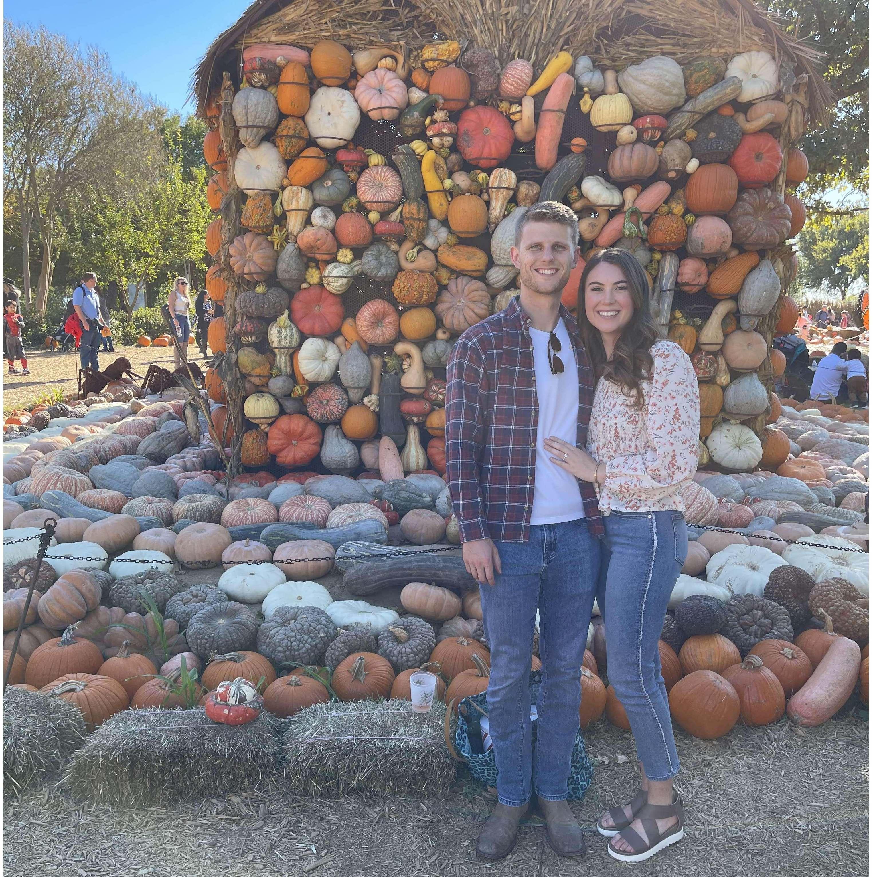 Pumpkin Patch at the Dallas Arboretum!