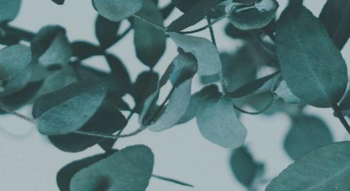 Footer image