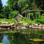 Bowman's Hill Wildflower Preserve