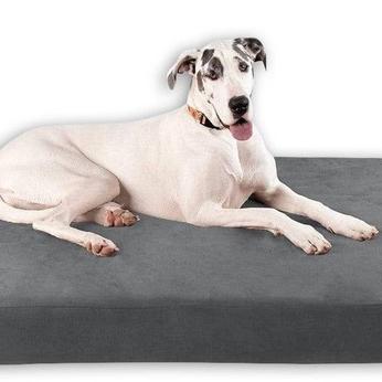 Big Barker Orthopedic Dog Bed