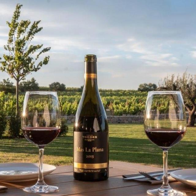 Wine Tasting in Barcelona