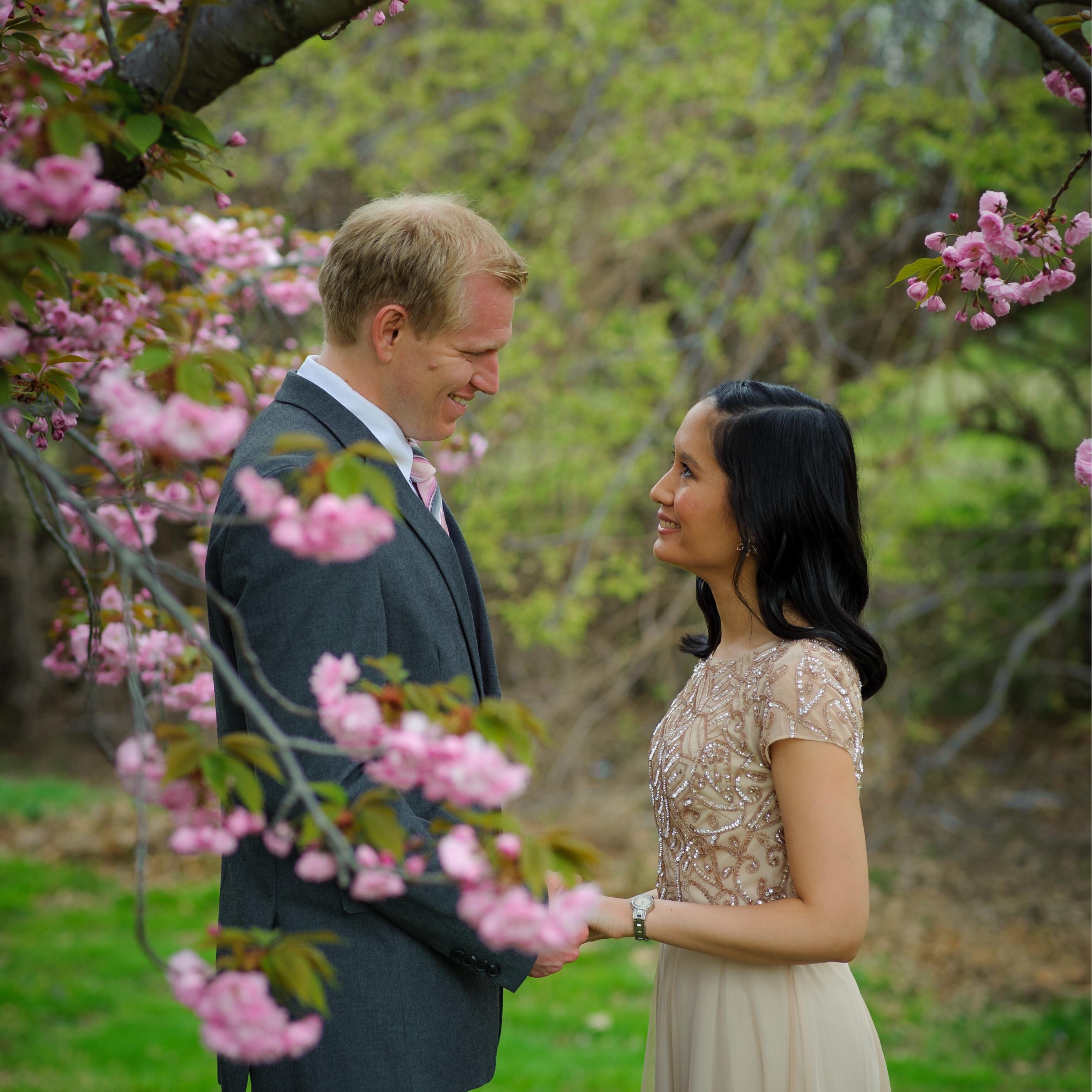 Kwanzan Cherry Blossoms at Hains Point | Washington, DC