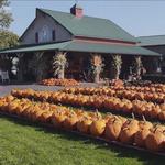 Akron Acres