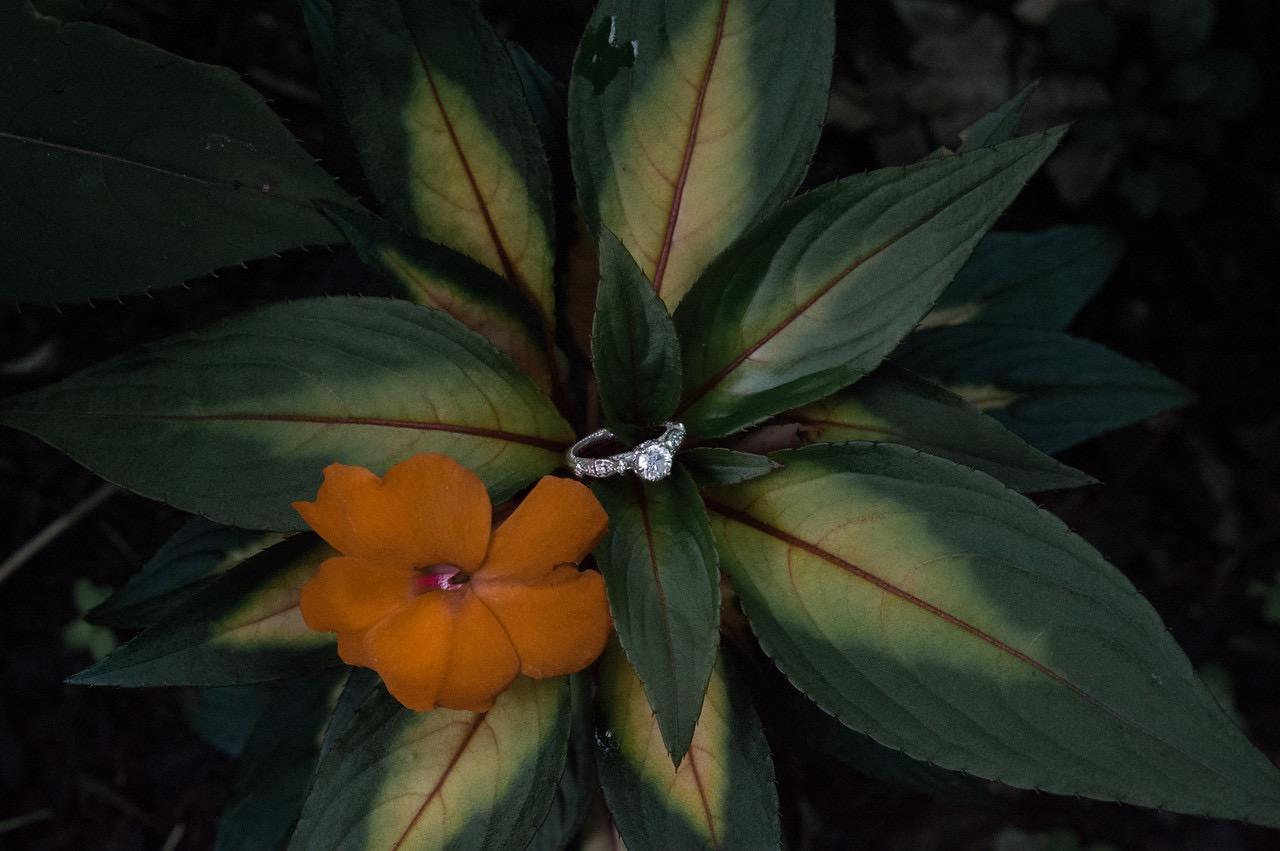 The Wedding Website of Ellison Peters and Jordan Matchin