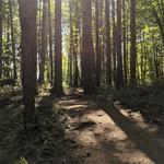 Mount Talbert Nature Park