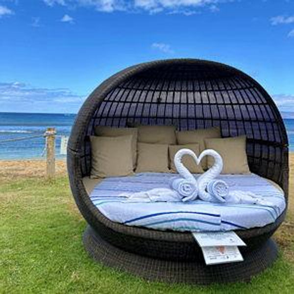 Our Honeymoon Trip