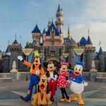 Disneyland Park