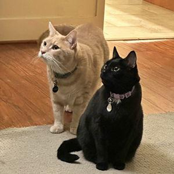 Holly & Charlie!